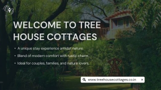 Stay at the Best Tree House Resort in Jaipur for a Unique Nature Retreat