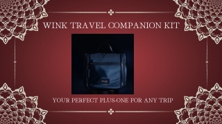 wink travel companion kit