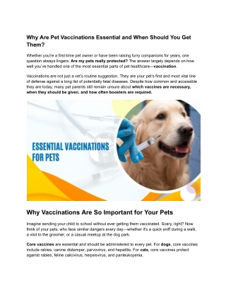Why Are Pet Vaccinations Essential and When Should You Get Them
