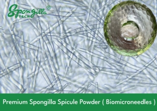 Algae Peeling Powder Wholesaler in China - Chengdu Cosmotek