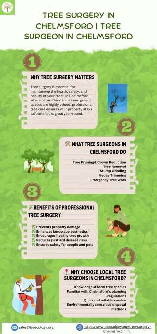 Tree Surgery in Chelmsford  Tree Surgeon in Chelmsford