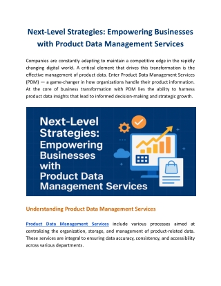 Next-Level Strategies: Empowering Businesses with Product Data Management Services