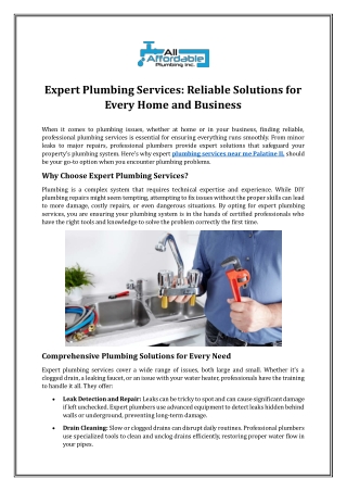 Expert Plumbing Services: Reliable Solutions for Every Home and Business