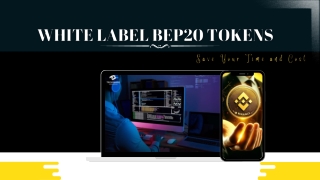 White Label BEP20 Tokens Save Time and Cost