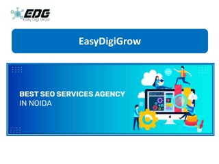 Best SEO Services in Noida- Rank Higher & Get More Leads