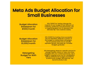 Meta Ads Budget Allocation for Small Businesses