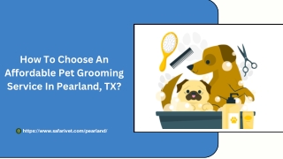 How To Choose An Affordable Pet Grooming Service In Pearland, TX