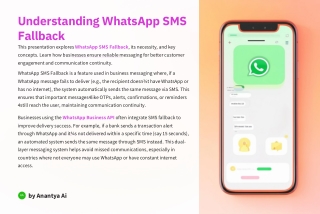 Whatsapp SMS Fallback | Fallback SMS Service | Anantya.ai