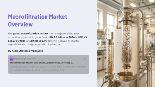 Macrofiltration Market Poised for Strong Growth: Key Trends and Players