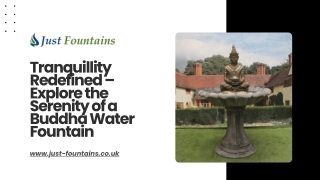 tranquillity redefined explore the serenity