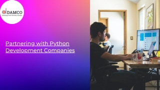Partnering with Python Development Companies