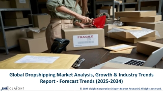 global dropshipping market analysis growth