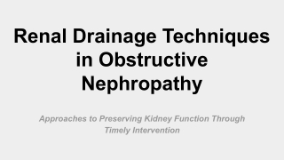 Renal Drainage Techniques in Obstructive Nephropathy