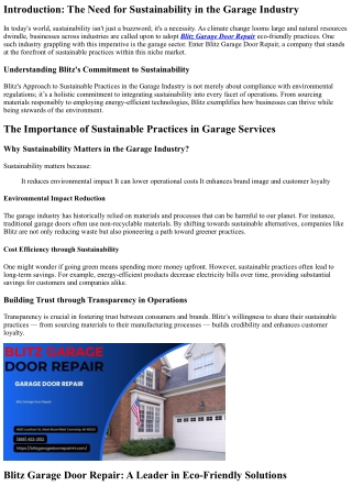 Blitz's Approach to Sustainable Practices in the Garage Industry