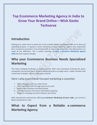 Top Ecommerce Marketing Agency in India to Grow Your Brand Online—Wish Geeks Techserve