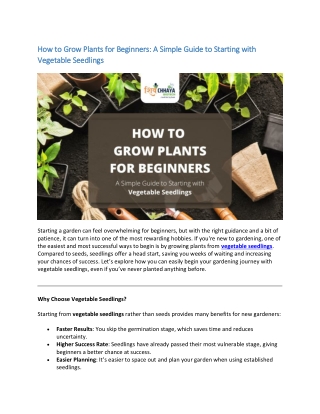 Beginner's Guide to Growing Plants Start Strong with Vegetable Seedlings