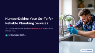 Flow Without Fuss: Reliable Plumber Services for Every Home and Business