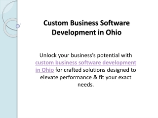 Custom Business Software Development in Ohio