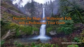 Discover the Magic of Multnomah Falls with a Professional Tour Guide