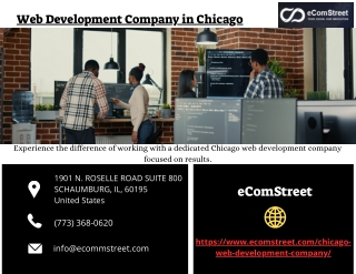 Web Development Company in Chicago