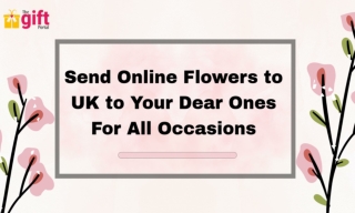 Send Online Flowers to UK to Your Dear Ones For All Occasions