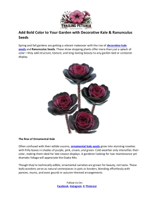 Trailing Petunia- Decorative Kale Seeds