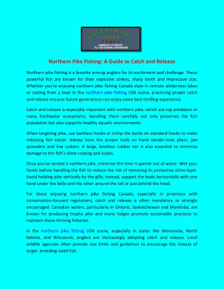 Northern Pike Fishing A Guide to Catch and Release