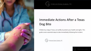 Immediate Actions After a Texas Dog Bite