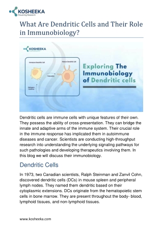 what are dendritic cells and their role