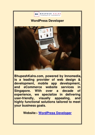 wordpress developer