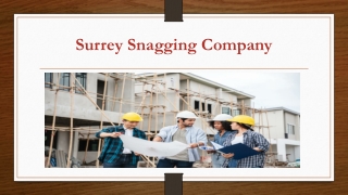 surrey snagging company