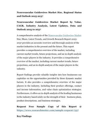 Neurovascular Guidewires Market Size