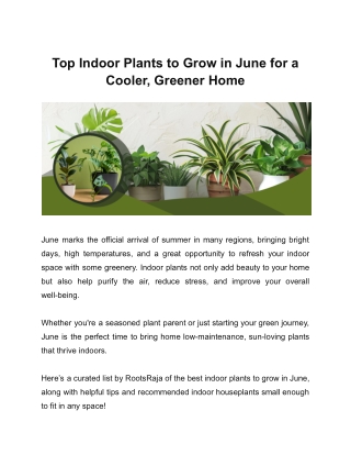 Top Indoor Plants to Grow in June for a Cooler, Greener Home