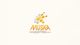 Upgrade Your Interiors Through Modern Lighting Store In Eden Prairie MN