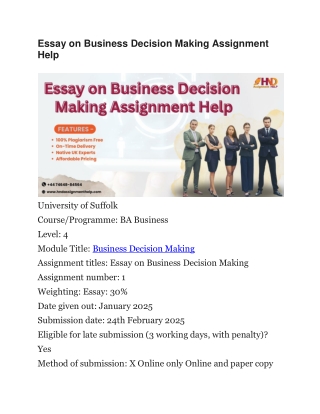 Essay on Business Decision Making Assignment Help