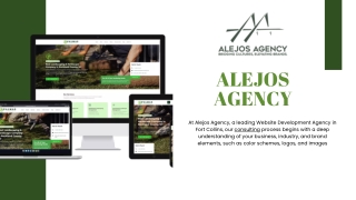 Get a Stunning Website with a Web Design Company Colorado