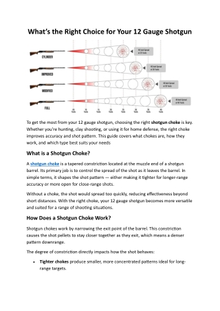 What’s the Right Choice for Your 12 Gauge Shotgun