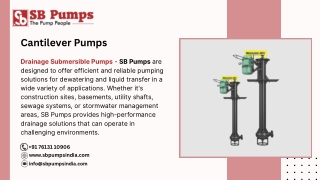 Cantilever Pumps