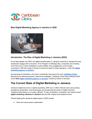 Best Digital Marketing Agency in Jamaica in 2025