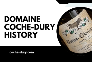 Domaine Coche-Dury History