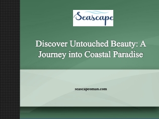 Discover Untouched Beauty A Journey into Coastal Paradise