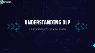 Understanding DLP