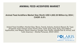 Animal Feed Acidifiers Market