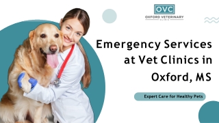 Emergency Services at Vet Clinics in Oxford, MS