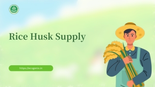 Rice Husk Supply
