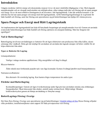 Spara Pengar och Energi med Rätt Lagringsteknik