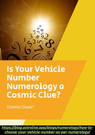 Is Your Vehicle Number Numerology a Cosmic Clue?