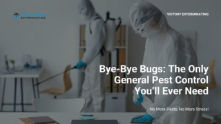 Bye-Bye Bugs the Only General Pest Control You’ll Ever Need