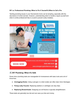diy vs professional plumbing when