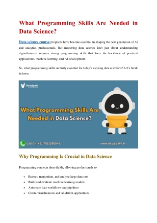 what programming skills are needed in data science